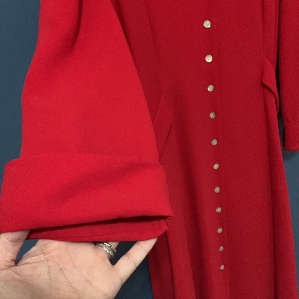 Red Collared Dress - Picture 5 of 7